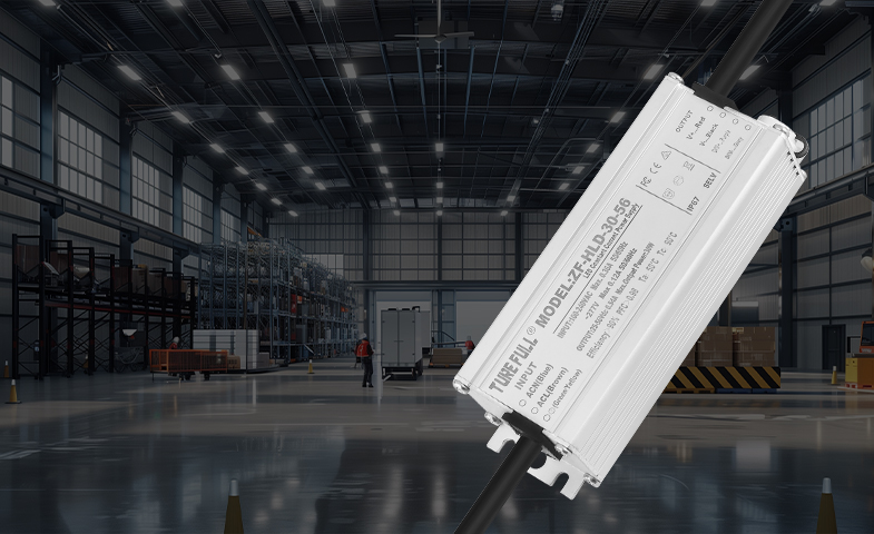 ZF-HLD-30-56